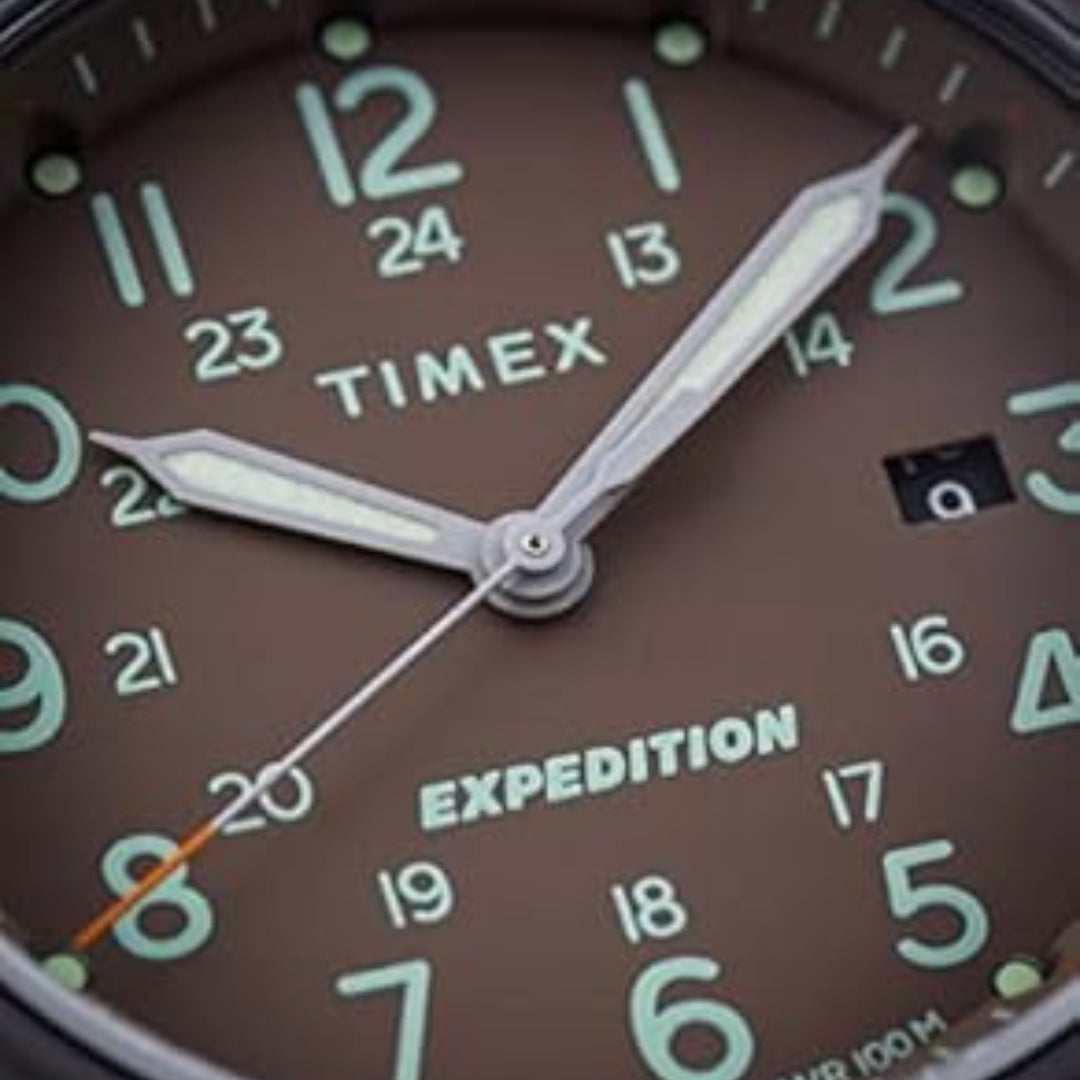 Timex Expedition Sierra Stainless Steel Case Brown Dial Brown Fabric Strap Men's Watch