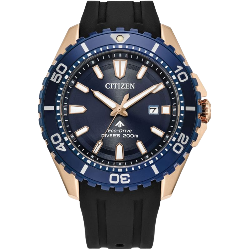 Citizen BN0196-01L Promaster Diver Eco-Drive Blue Dial Black Polyurethane Strap Men's Watch