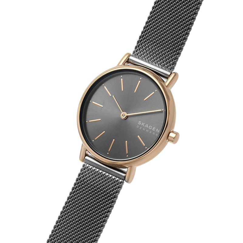 Skagen grey online watch